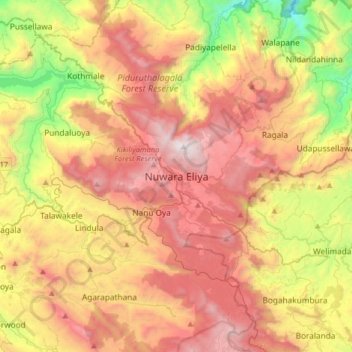 Nuwara Eliya topographic map, elevation, terrain