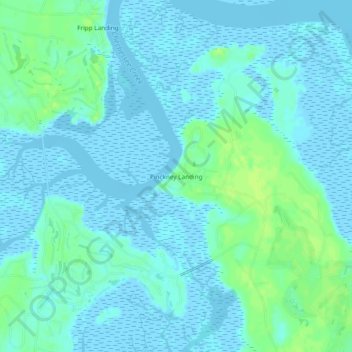 Pinckney Landing topographic map, elevation, terrain