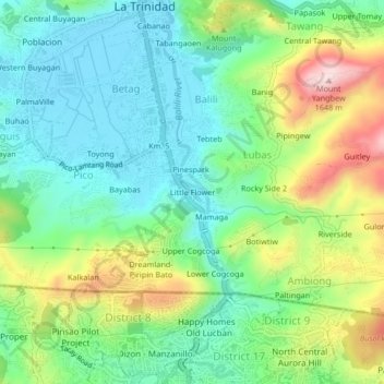 Little Flower topographic map, elevation, terrain