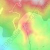 Cerro Flores topographic map, elevation, terrain