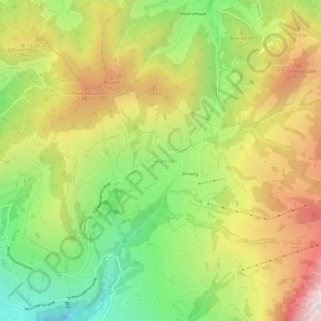 Schwanden topographic map, elevation, terrain