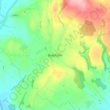 Ballyfoyle topographic map, elevation, terrain