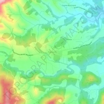Palazzetto topographic map, elevation, terrain