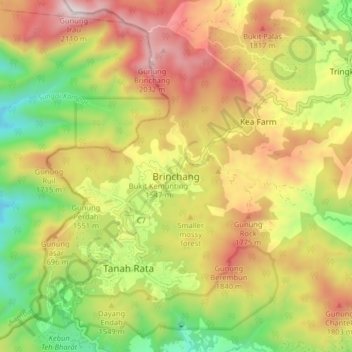 Brinchang topographic map, elevation, terrain