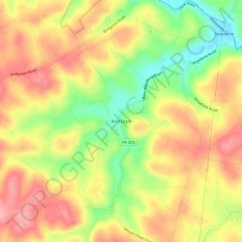 Bald Eagle topographic map, elevation, terrain