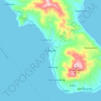 Pintuyan topographic map, elevation, terrain