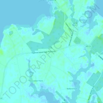 McDaniel topographic map, elevation, terrain