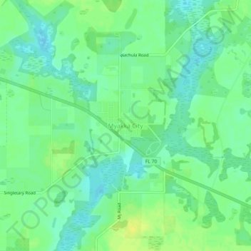 Myakka City topographic map, elevation, terrain