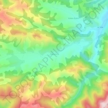 Negoiu topographic map, elevation, terrain