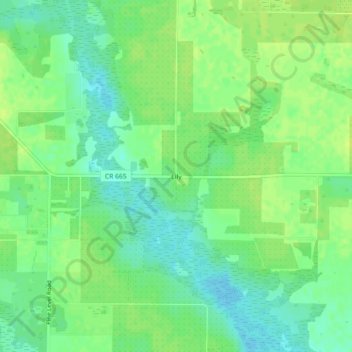 Lily topographic map, elevation, terrain