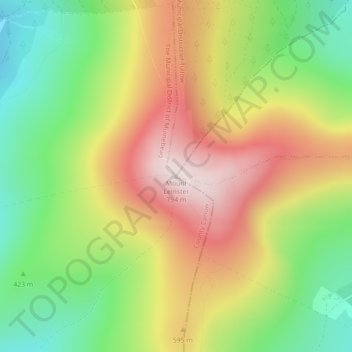 Mount Leinster topographic map, elevation, terrain