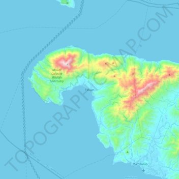 Paluan topographic map, elevation, terrain