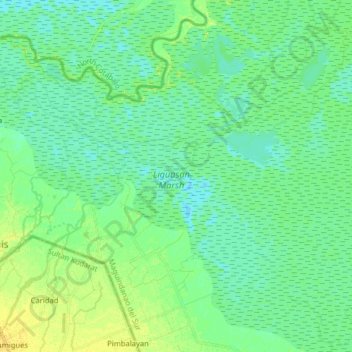 Liguasan Marsh topographic map, elevation, terrain